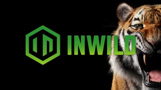 INWILD (1080p)