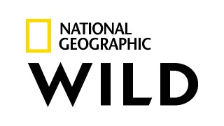 National Geographic Wild HD East (720p)