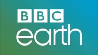 BBC Earth (1080p)