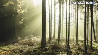 Roger Shah feat. Adrina Thorpe - Island (Antillas Vocal Mix)