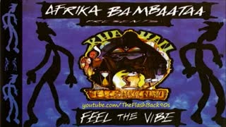 Afrika Bambaataa - Feel The Vibe (Extended Mix)