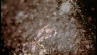 2 Unlimited - Nothing Like The Rain (Official Music Video)