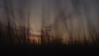 Eryon Stocker - In Yaakumech 