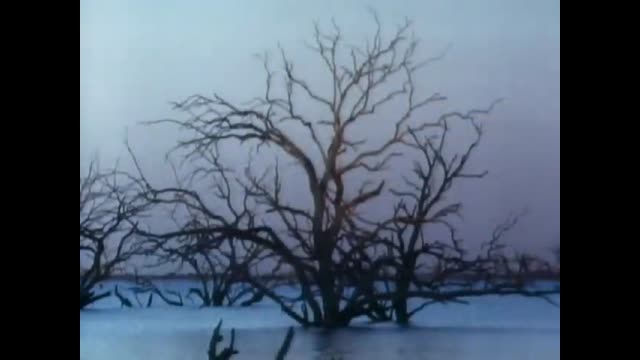 Midnight Oil - Beds Are Burning