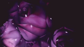 Armin van Buuren vs Shapov - La Résistance De L'Amour (Official Video)