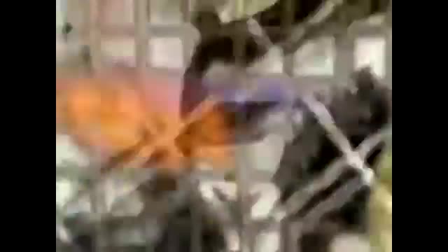Gottsha - Break Out