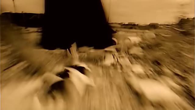 The Shamen - Ebeneezer Goode