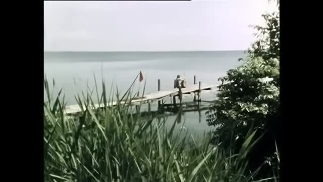 The Cats - One Way Wind