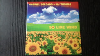 Gabriel Delgado Vs. DJ Thomas - So Like Wind [Ener G & Andrew Bakun Remix]