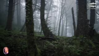 UDM - Balearic Dream (Original Mix) [Beyond the Stars]✸Promo✸Video Edit ♔