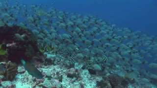 Andy Blueman - Beyond The World We Know (Zen Mix)