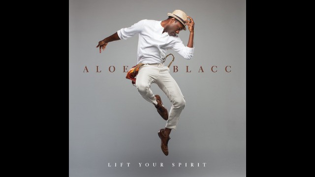 Aloe Blacc - The Man