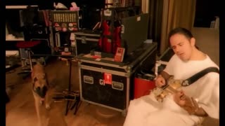 Bryan Adams - Please Forgive Me