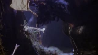 B.G. The Prince Of Rap - The Colour Of My Dreams 1994