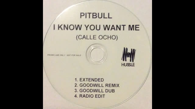 Pitbull - I Know You Want Me [Calle Ocho] [Goodwill Remix]