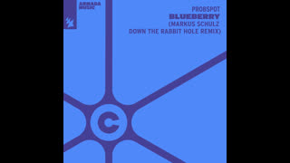 Probspot - Blueberry (Markus Schulz Down The Rabbit Hole Extended Remix)