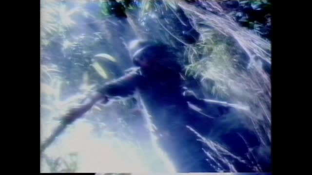 Kim Wilde - Cambodia