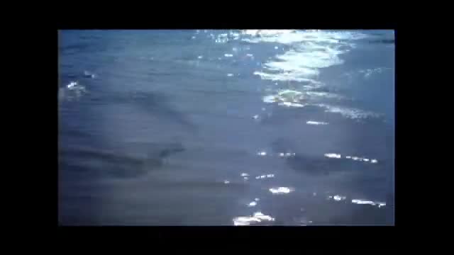 Lustral - Everytime