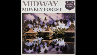 Midway - Monkey Forest