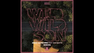 Armin van Buuren, Sam Martin, Richard Durand ·Wild Wild Son (Richard Durand Extended Remix)