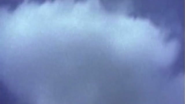 Perplexer - Da Capo