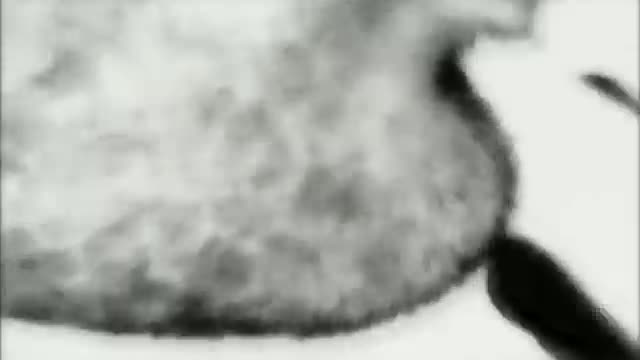 Moby - Everytime You Touch Me