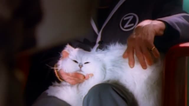 Scooter - Move Your Ass!