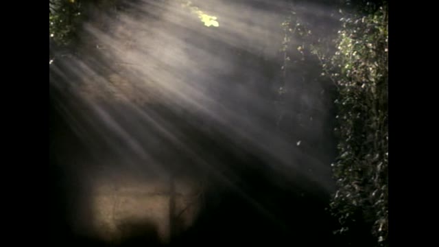 Bryan Adams - (Everything i do) I do it for you