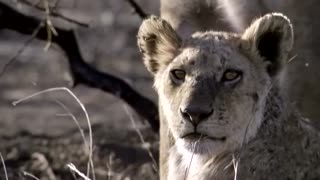 ATB - Future Memories