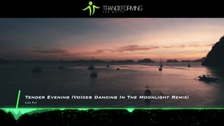 Ilya Fly - Tender Evening (VoIces Dancing In The Moonlight Remix)