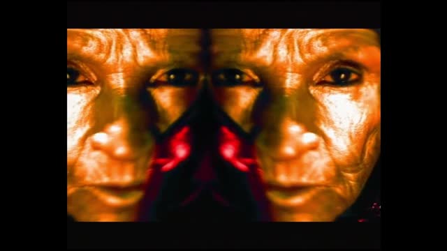 Ayla - Into The Light