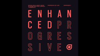 Boom Jinx & Andy Moor & Noise Zoo feat. Ashley Tomberlin  -  Pinpricks Of Life (Extended Mix)