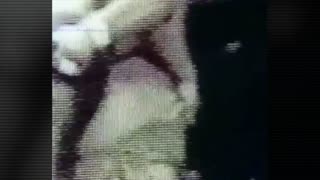 Bow Wow Wow - Do You Wanna Hold Me