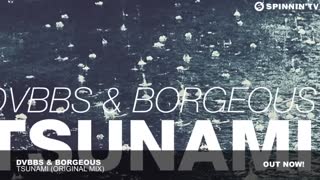 DVBBS & Borgeous - TSUNAMI (Original Mix)