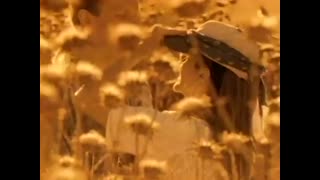 Boy Meets Girl - Waiting for a Star to Fall