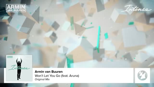 Armin van Buuren feat. Aruna - Won't Let You Go