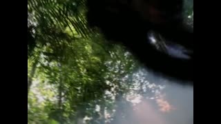 Michael Jackson - Earth Song