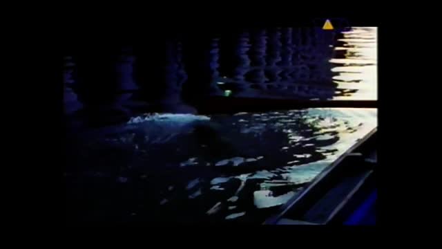 Koala feat. DJ Dave - Eternity Is Past (VIVA)