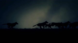 Will Atkinson - Awake