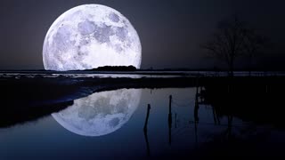 Conjure One feat. Sinéad O'Connor - Tears From the Moon (Original Album Version)