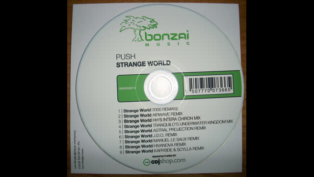 Push - Strange World [Manuel Le Saux Remix]