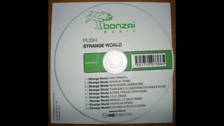 Push - Strange World [Manuel Le Saux Remix]