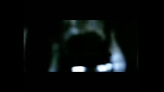 DJ Aligator - The Whistle Song