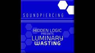 Hidden Logic, Luminary - Wasting (Andy Moor Remix)