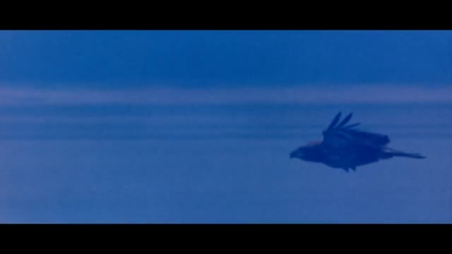 Abba - Eagle
