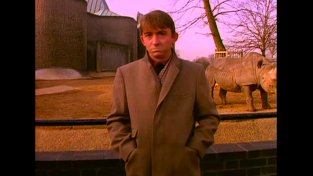 Talk Talk - It's my life