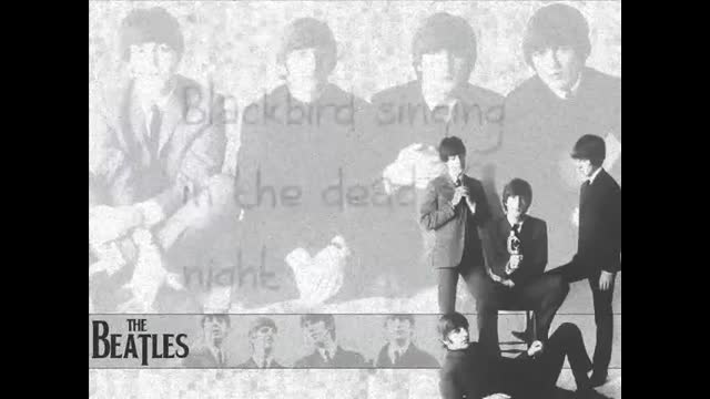 The Beatles - Blackbird