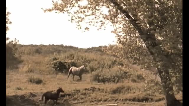 Billy Joel - The River Of Dreams