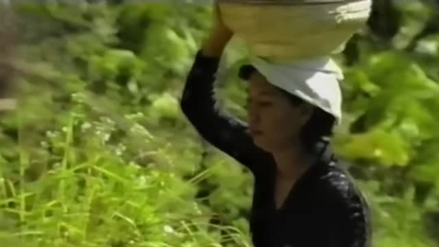 DJ The Crow - Fly Away