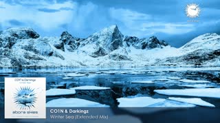 CO1N & Darkingz - Winter Sea (Extended Mix)